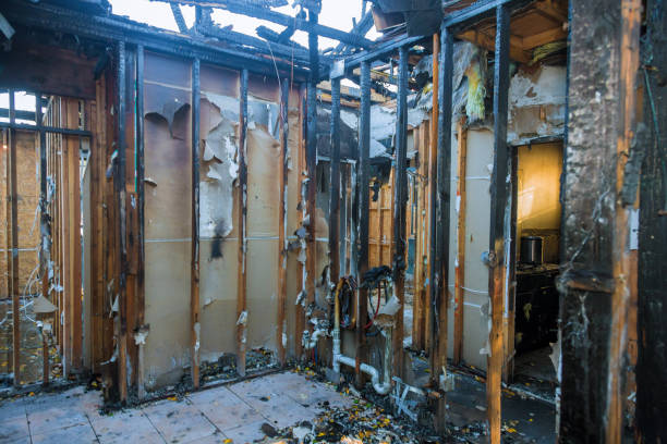 Professional Fire Damage Removal technician working in St. Ansgar, IA